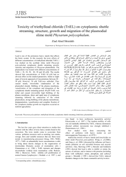Toxicity of triethyllead chloride (TriEL) on cytoplasmic shuttle
