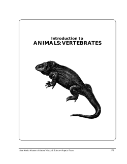 ANIMALS: VERTEBRATES