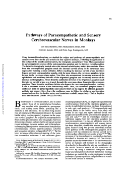 Pathways of Parasympathetic and Sensory