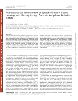 Pharmacological Enhancement of Synaptic Efficacy, Spatial