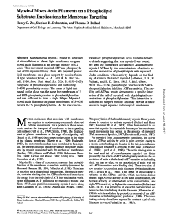 Myosin-I Moves Actin Filaments on a Phospholipid Substrate