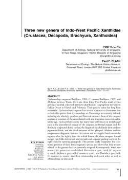 full article in PDF format