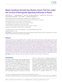 Maize Cytolines Unmask Key Nuclear Genes