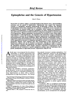 Brief Review Epinephrine and the Genesis of Hypertension