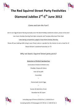 The Red Squirrel Street Party Festivities Diamond