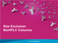 Size Exclusion BioHPLC Columns