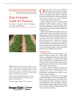 Drip Irrigation Guide for Potatoes