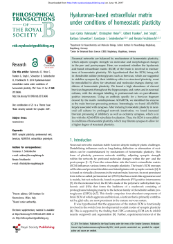 Hyaluronan-based extracellular matrix under conditions of