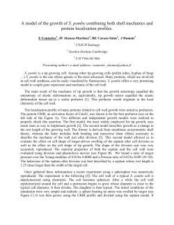 PDF version