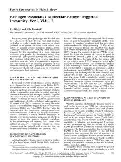 Pathogen-Associated Molecular Pattern