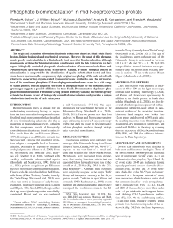 Phosphate biomineralization in mid