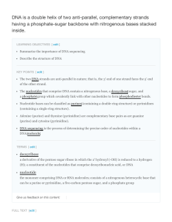 DNA is a double helix of two anti-parallel, complementary strands