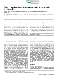 Rim2, a pyrimidine nucleotide exchanger, is needed for iron