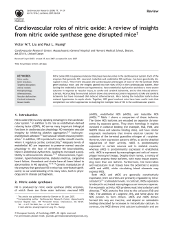 Cardiovascular roles of nitric oxide: A review of insights from nitric