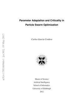 Parameter Adaptation and Criticality in Particle Swarm Optimization