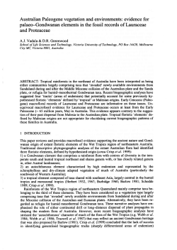 Australian Paleogene vegetation and environments: evidence for