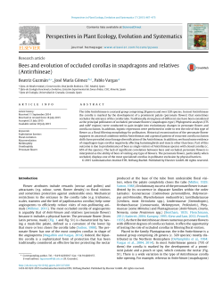 Bees and evolution of occluded corollas in snapdragons and relatives