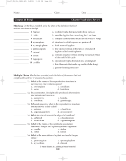 Chapter Vocab Review