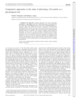 Comparative approaches to the study of physiology: Drosophila as a