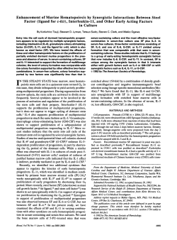 Enhancement of Murine Hematopoiesis by Synergistic Interactions