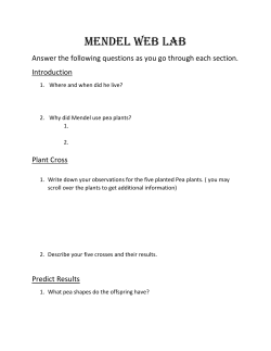 Mendel Web Lab