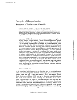 Energetics of Coupled Active Transport of Sodium and Chloride