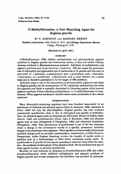 0-Methylthreonine, a New Bleaching Agent for Euglena gracilis