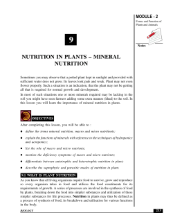 NUTRITION IN PLANTS &ndash; MINERAL NUTRITION