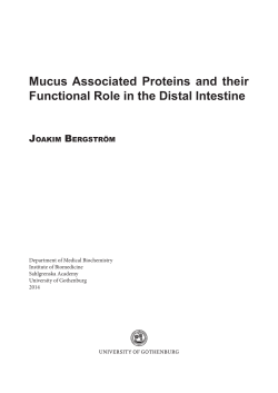 Mucus Associated Proteins and their Functional Role in