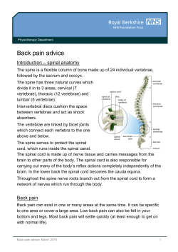 Back pain advice - Royal Berkshire Hospital