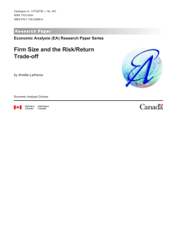 Firm Size and the Risk/Return Trade-off