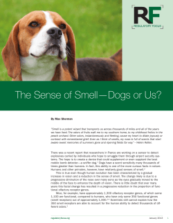 The Sense of Smell—Dogs or Us? - Regulatory Affairs Professionals