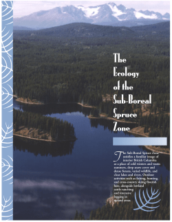 The Ecology of the Sub-Boreal Spruce Zone