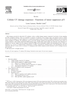 Cellular UV damage responses&mdash;Functions of tumor suppressor p53