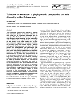 Tobacco to tomatoes: a phylogenetic perspective