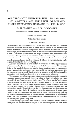 ON CHROMATIC EFFECTOR SPEED IN XENOPUS AND