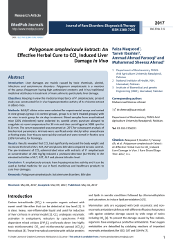 Polygonum amplexicaule Extract: An Effective Herbal Cure to CCl4