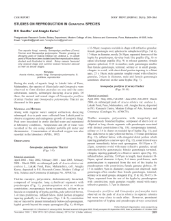 Gandhe Aquatic fungi 1141 (2.25)