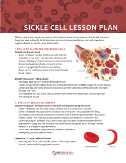 sickle cell lesson plan