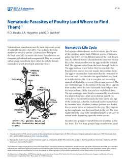 Nematode Parasites of Poultry (and Where to Find Them) 1