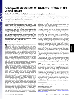 A backward progression of attentional effects in the ventral stream