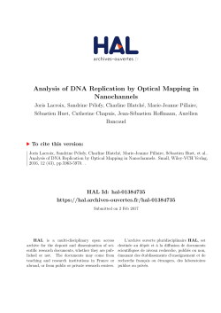 Analysis of DNA Replication by Optical Mapping in Nanochannels