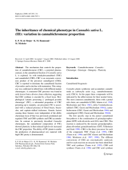 The Inheritance of Chemical Phenotype in Cannabis sativa L (III)