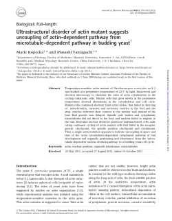 Full-length Ultrastructural disorder of actin mutant suggests