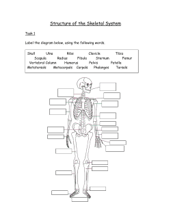 Tasks for Assignment 4.1 File