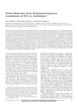 Nitrite Reductase Gene Enrichment Improves Assimilation of NO2 in