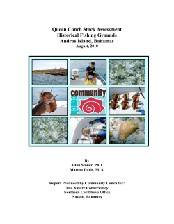 Queen Conch Stock Assessment Historical Fishing Grounds Andros
