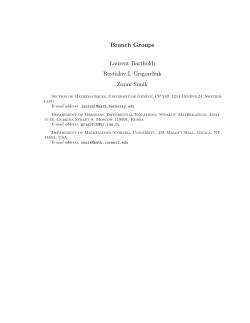 Branch Groups