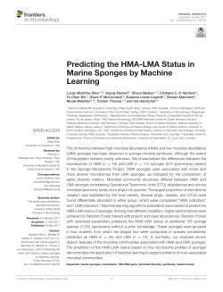Predicting the HMA-LMA Status in Marine Sponges by Machine