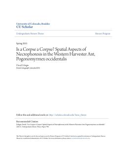 Spatial Aspects of Necrophoresis in the Western